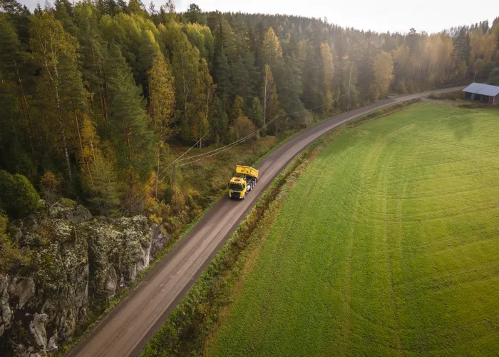 road surrounded by greenery