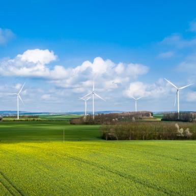 Wind farm