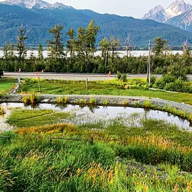 Restoring a salmon spawning ground in Alaska