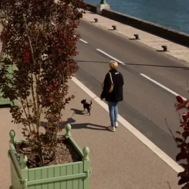 Użycie Vegecol do remontu nabrzeża falochronowego w Wandei we Francji